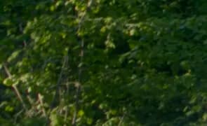 Custom Printing Made Easy